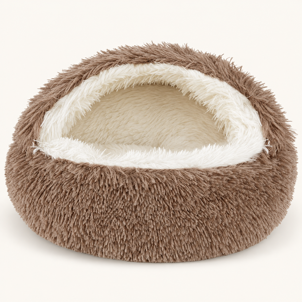 The Snug Cave · Shell