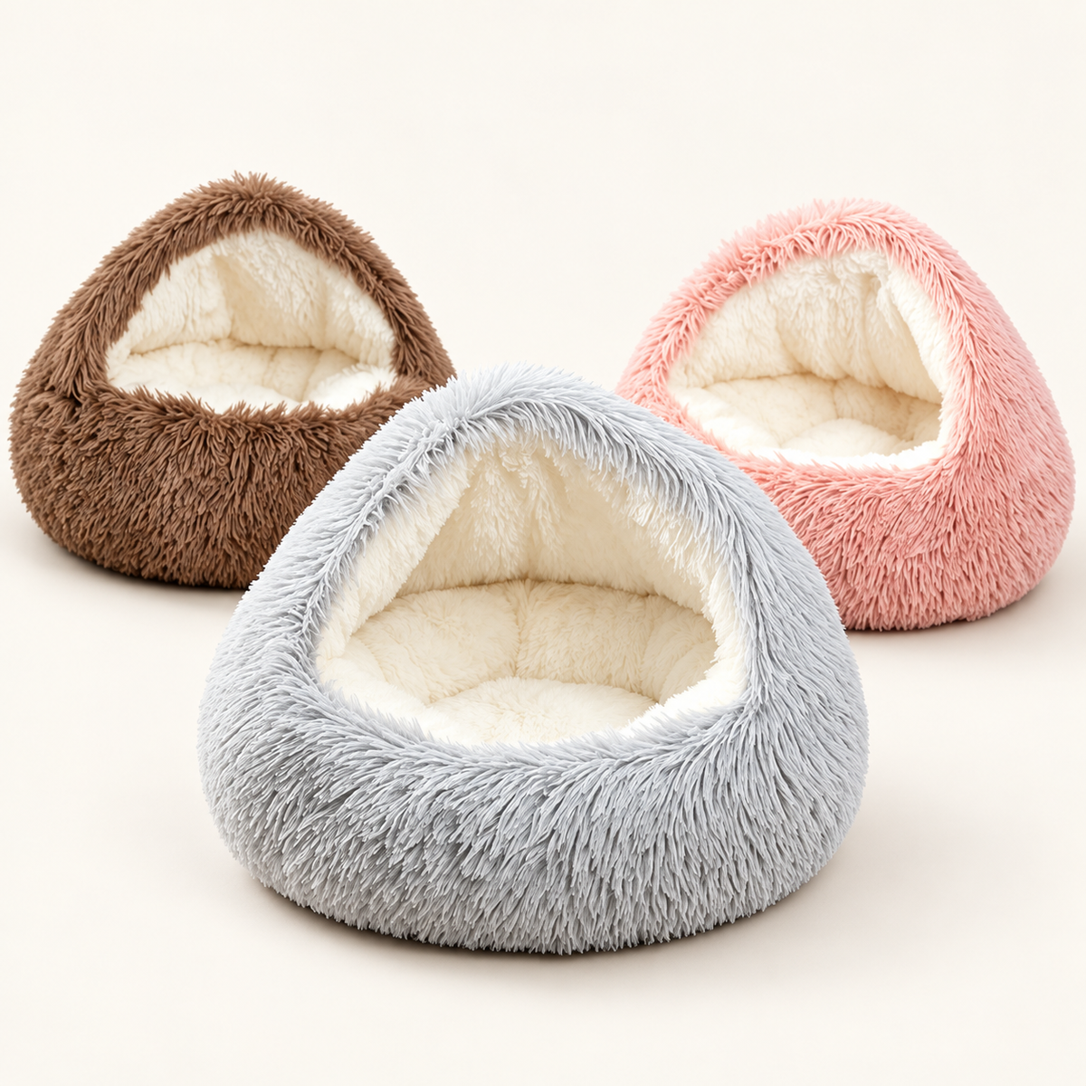 The Snug Cave · Shell